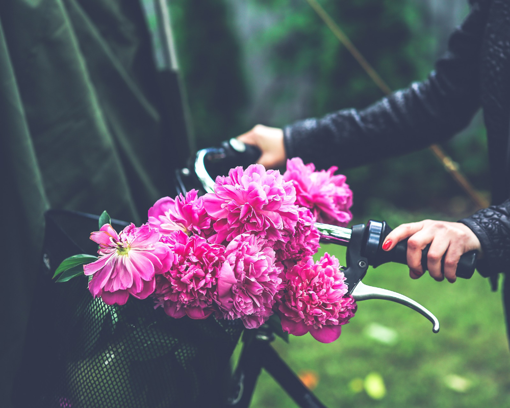 rosa Blumen in einem Farradkorb