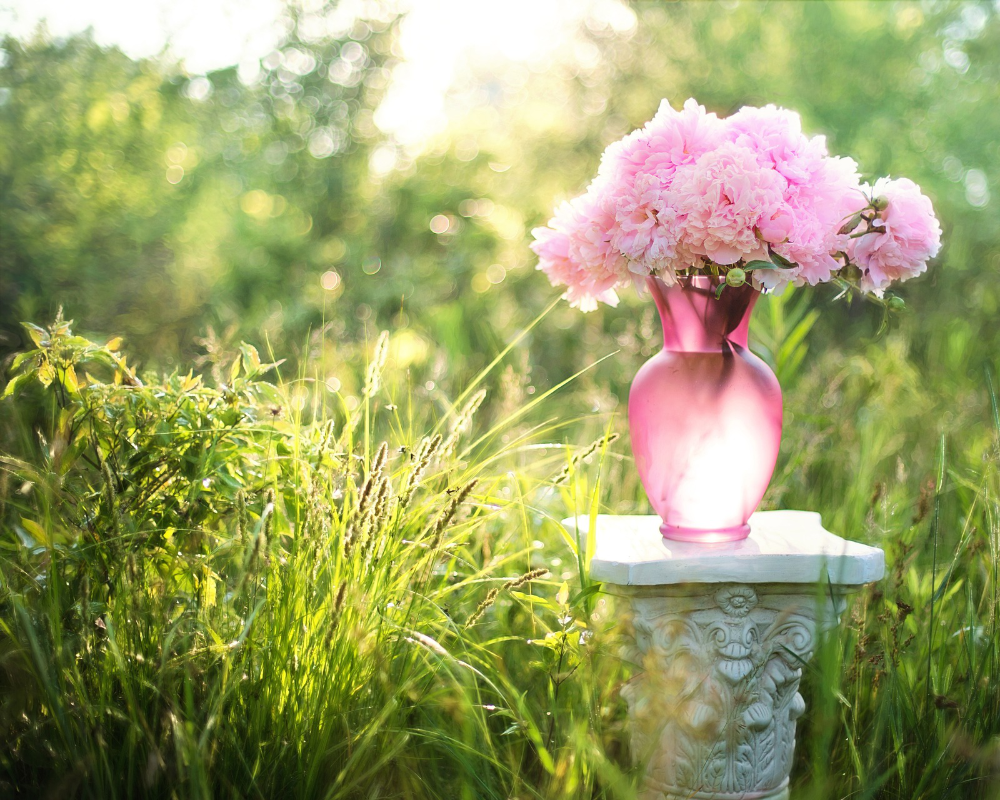 Vase mit rosa Blumen steht auf Podest