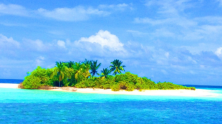 Insel mit Palmen im Meer