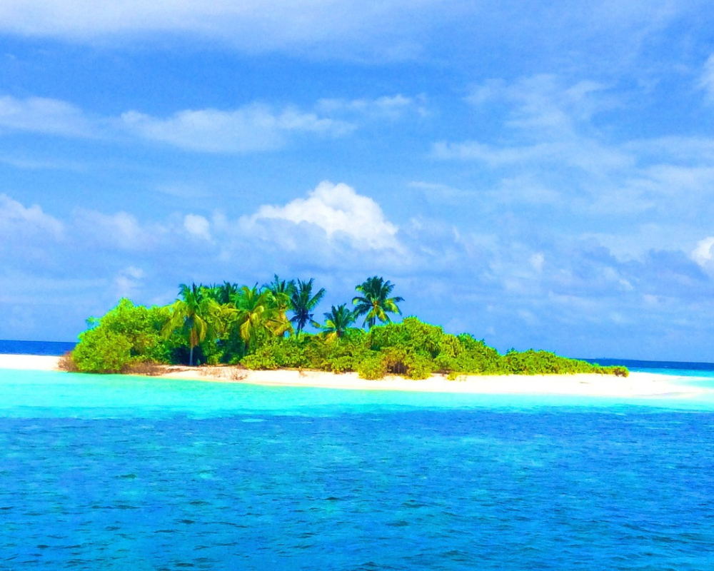 Trauminsel mit Palmen im Meer