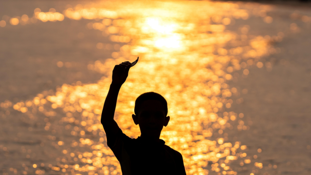 Person blickt auf Meer im Sonnenuntergang
