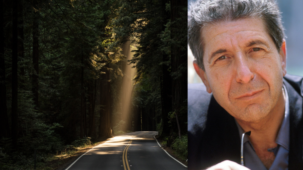 Straße umgeben von Baumen Sonnenstrahlen fallen ein Leonhard Cohen