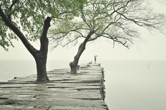 Eine Person steht am nebligen Meer.
