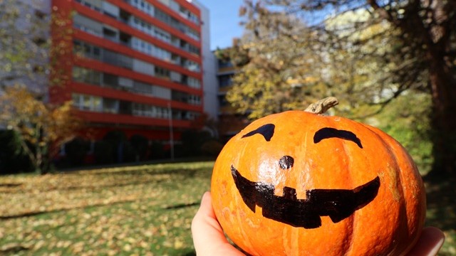 Halloween Kürbis vor Haus 28