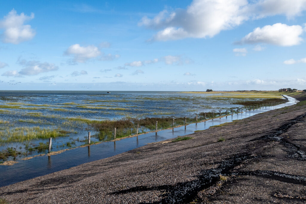 Insel mit Dünen Strand und Meer